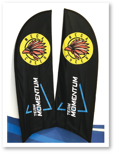 Banners and Flag
